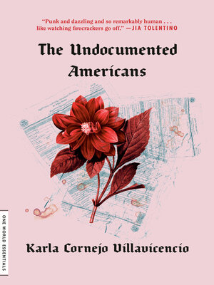 The Undocumented Americans - ebook